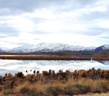 Hakatere Conservation Park