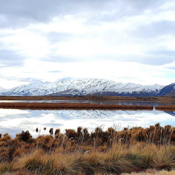 Hakatere Conservation Park
